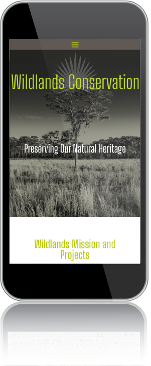 Wildlands Conservation Website Example