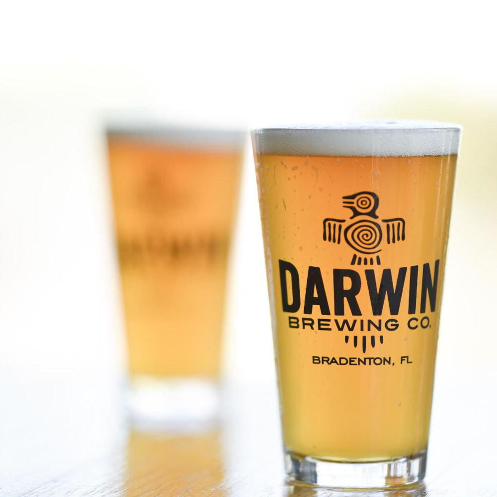 Darwin Bewing Logo-Branded Pint Glass