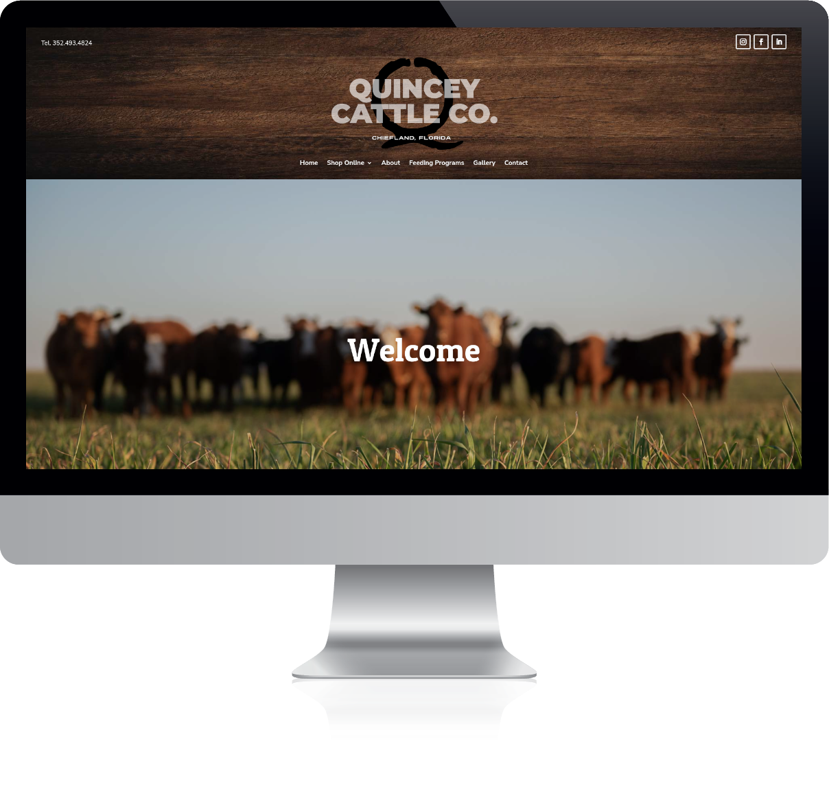 Quincey Cattle Company Website Screenshot