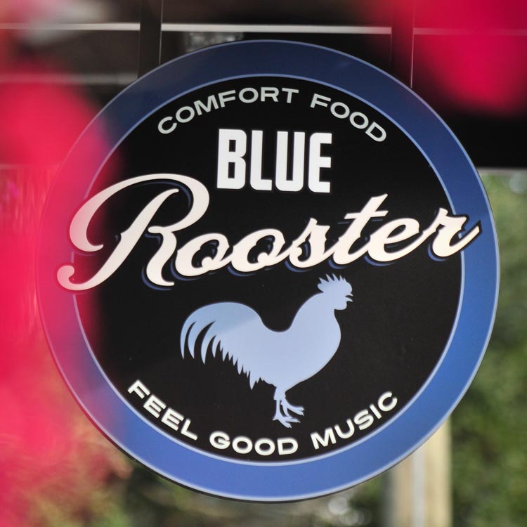 Blue Rooster Photography Example