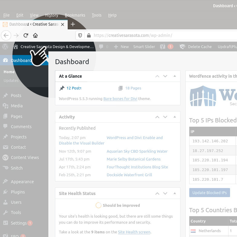 Websit Link from WordPress Dashboard